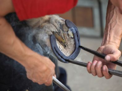 Therapeutischer Hufbeschlag